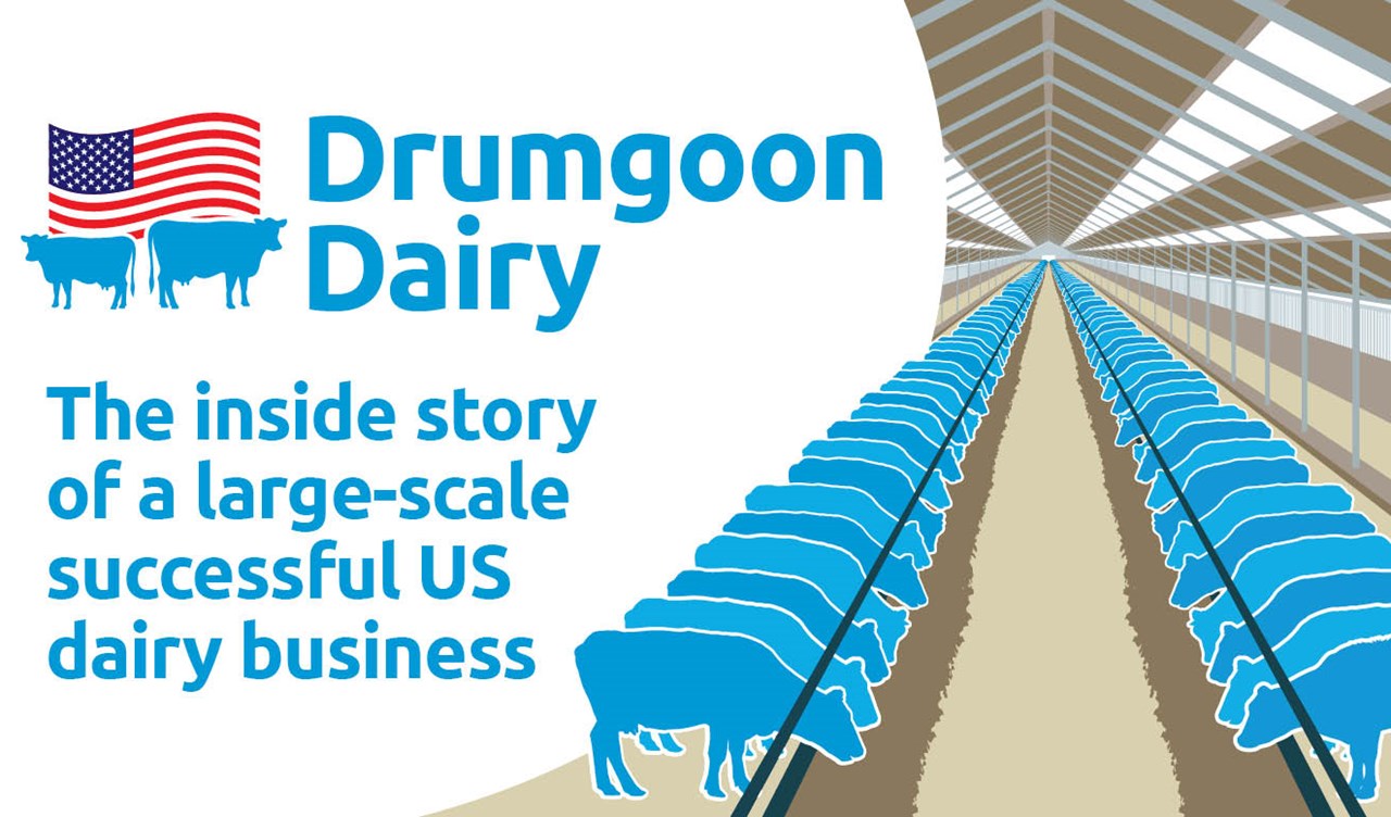 Promo graphic for Drumgoon Dairy - the inside story of a large-scale successful US dairy business.